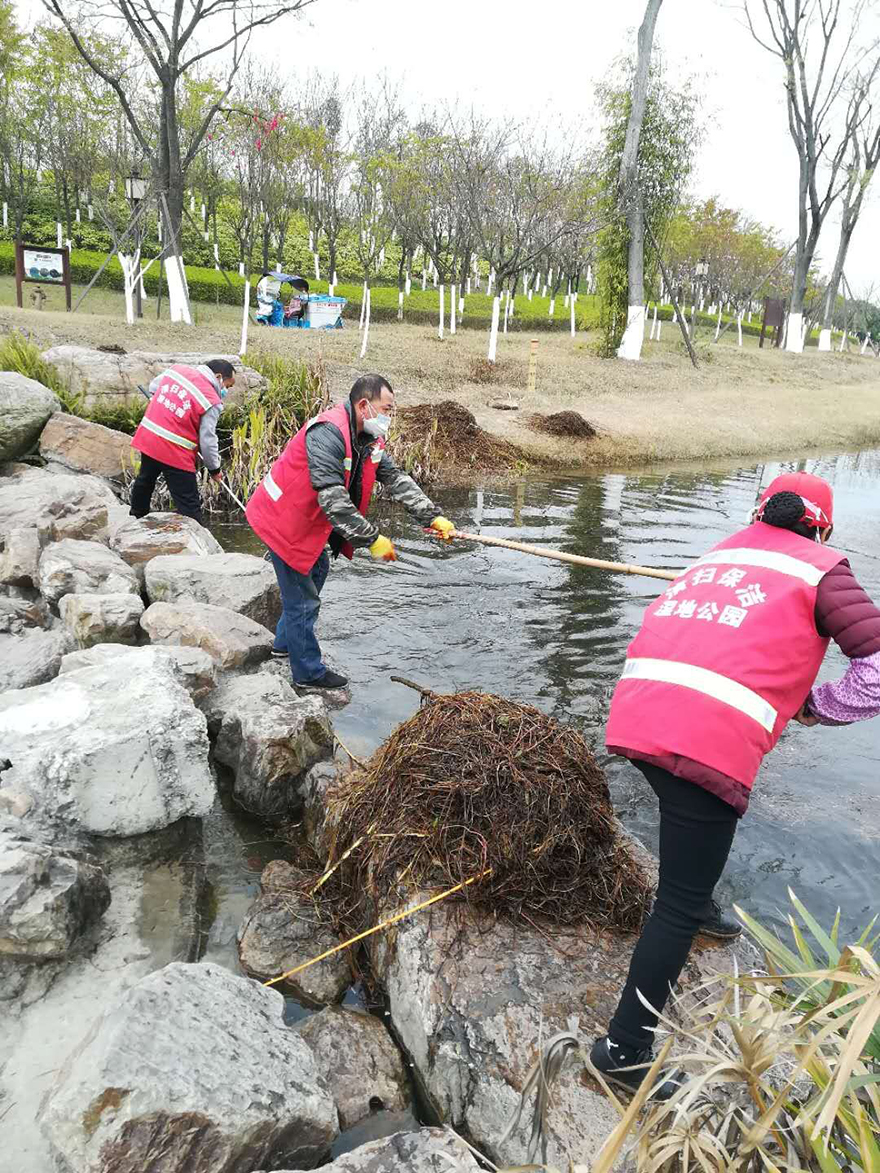 小枧生态公园发展大排除活动1