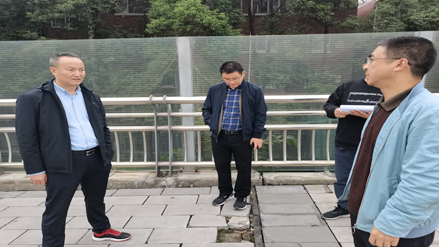 剑南路刷新工程一期(九州大道至西山南路)现场查抄桥梁伸缩缝 剑南路刷新工程一期(九州大道至西山南路)现场查抄桥梁伸缩缝