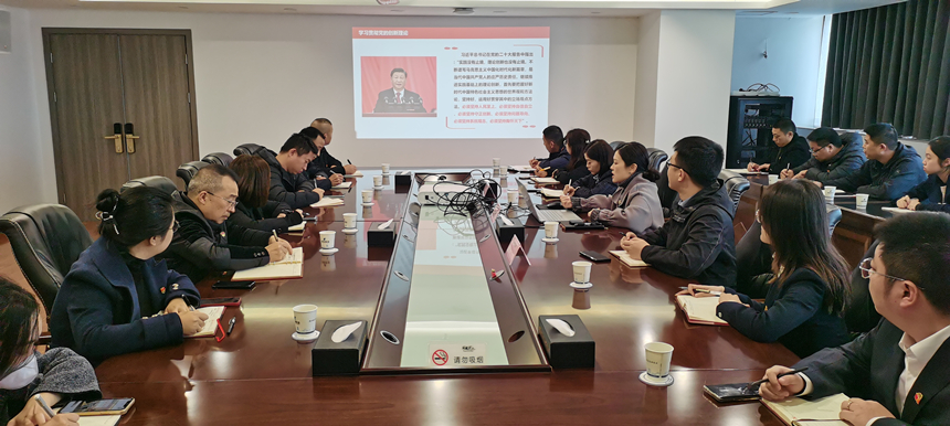 集团党委委员、、、副总经理贺维维同道讲授专题党课